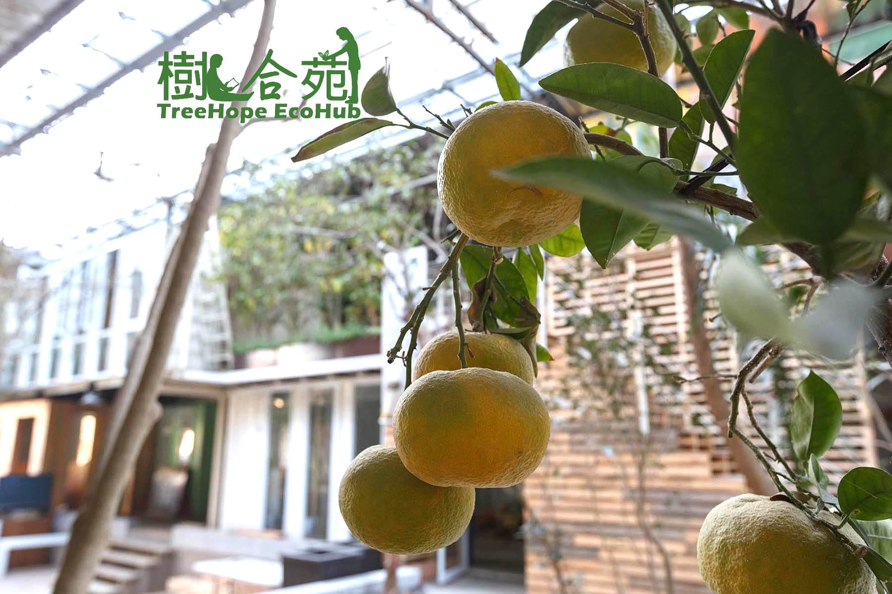 Website Treehope Eco Hub